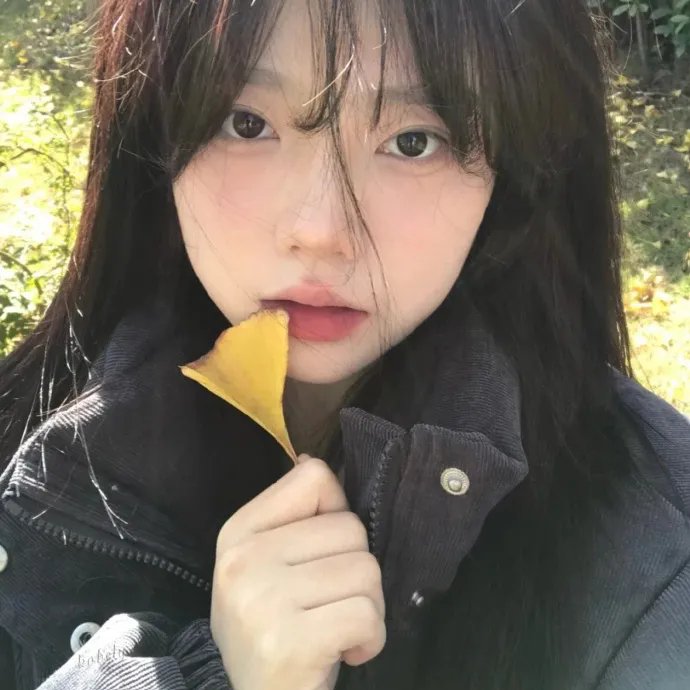 恋与偶像第二季